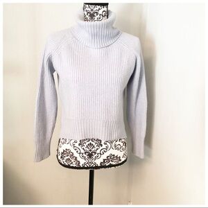 Winfred Free Aritzia Baby Blue Sweater